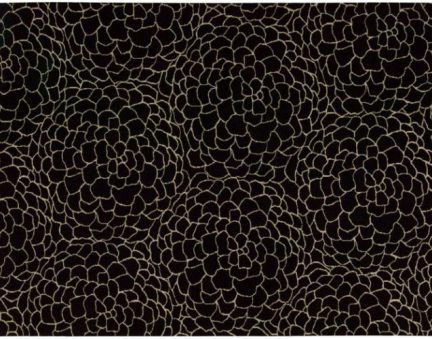 calvin klein area rug ls12blk 32hnahy8l1c15mwgfqyakg